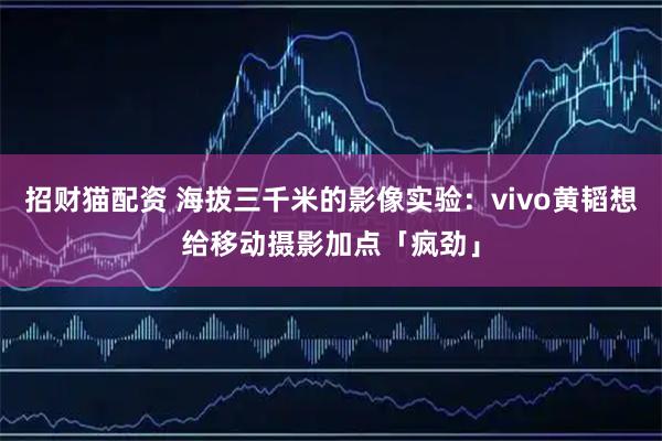 招财猫配资 海拔三千米的影像实验：vivo黄韬想给移动摄影加点「疯劲」
