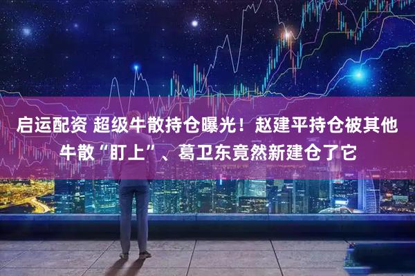 启运配资 超级牛散持仓曝光！赵建平持仓被其他牛散“盯上”、葛卫东竟然新建仓了它